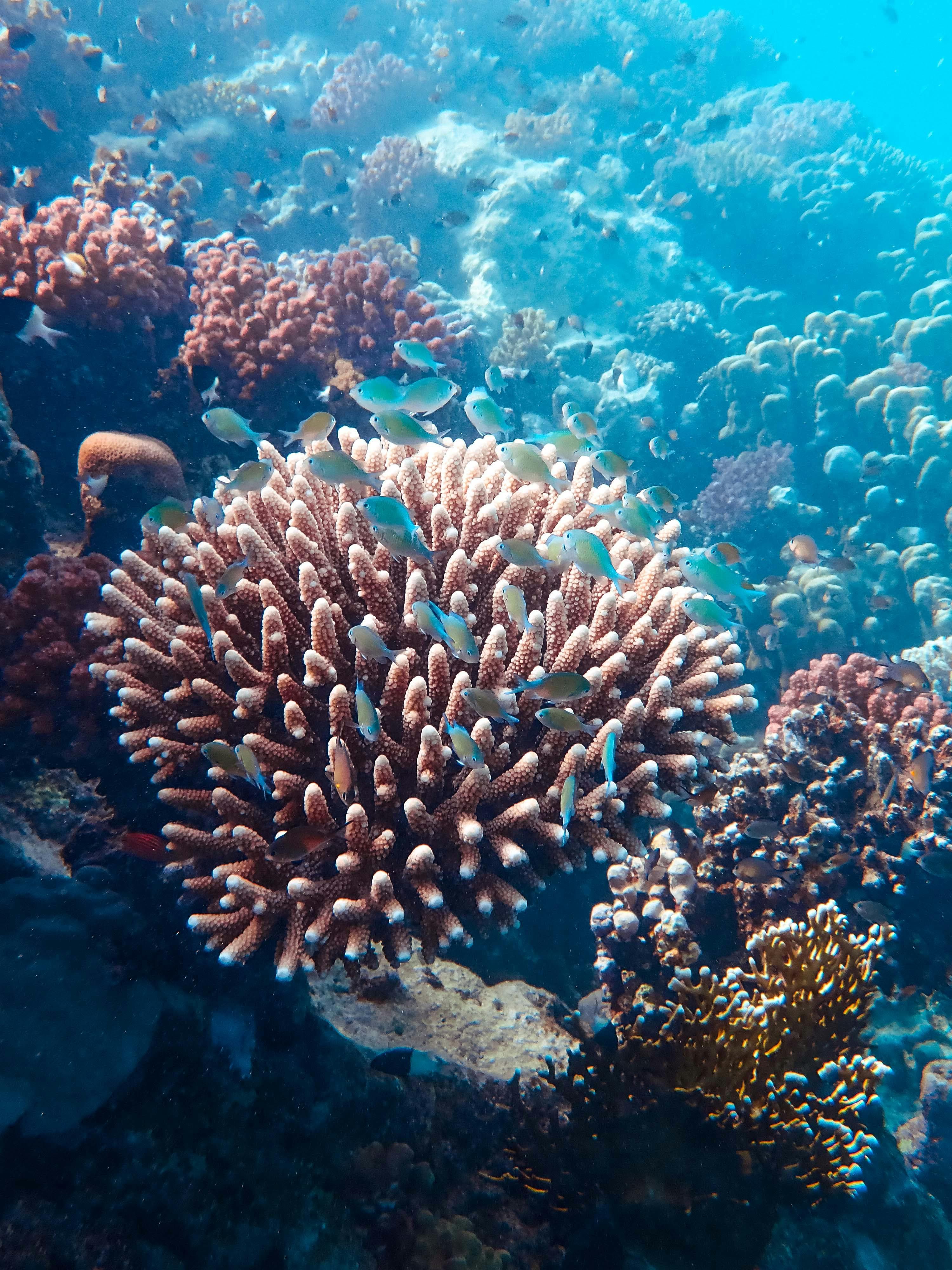 學生進行海洋科學實驗