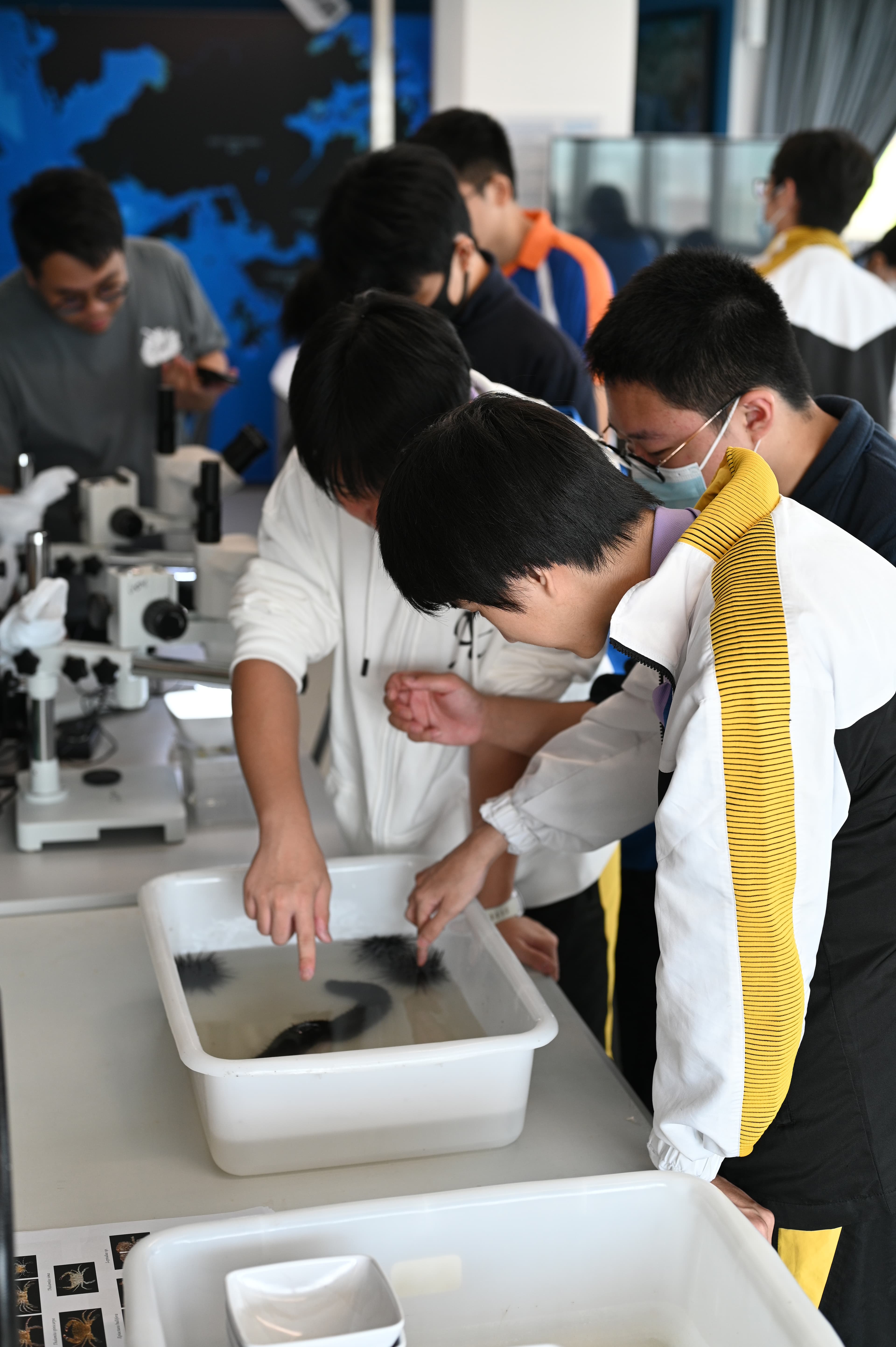 學生觀察海洋生物